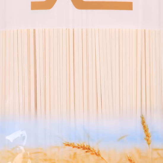 Tagliatelle istantanee Lvshuang Tagliatelle Konjac Tagliatelle per alimenti salutari/per dimagrire Shirataki Udon Tagliatelle Soba di grano saraceno